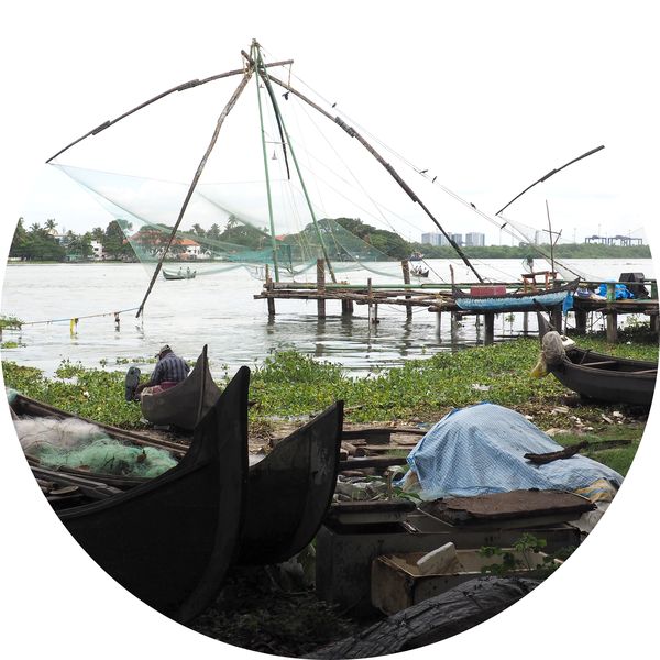Chinese visnetten, Kochi, Kerala • India